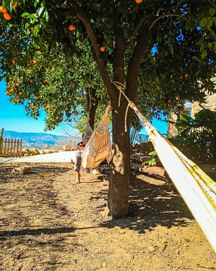 Verde Agua Agroturismo E Agricultura Biologica Couto Экстерьер фото