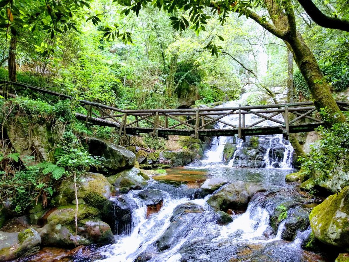 Verde Agua Agroturismo E Agricultura Biologica Couto Экстерьер фото
