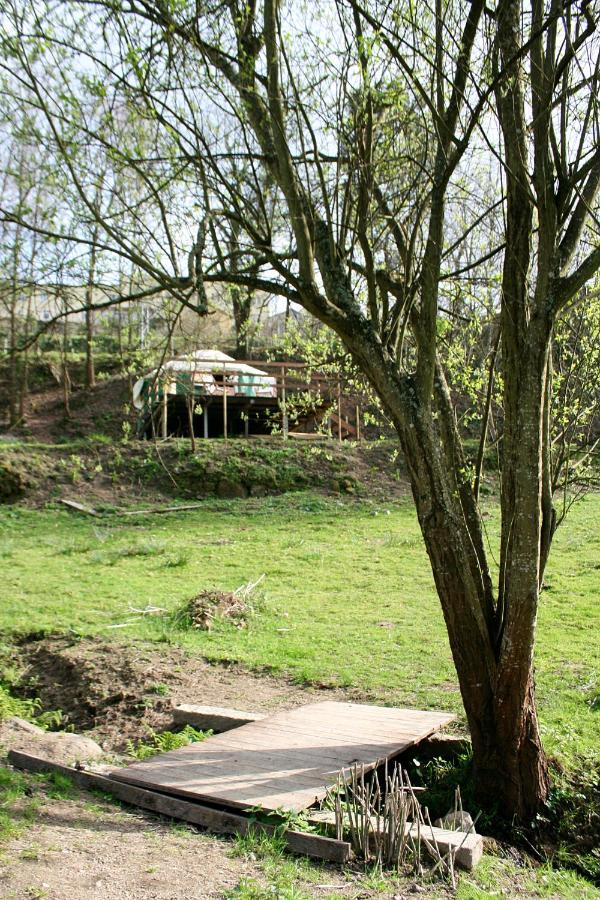Verde Agua Agroturismo E Agricultura Biologica Couto Экстерьер фото